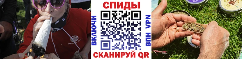 как найти наркотики Шали Бутират буратино