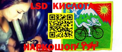 прущие грибы Будённовск
