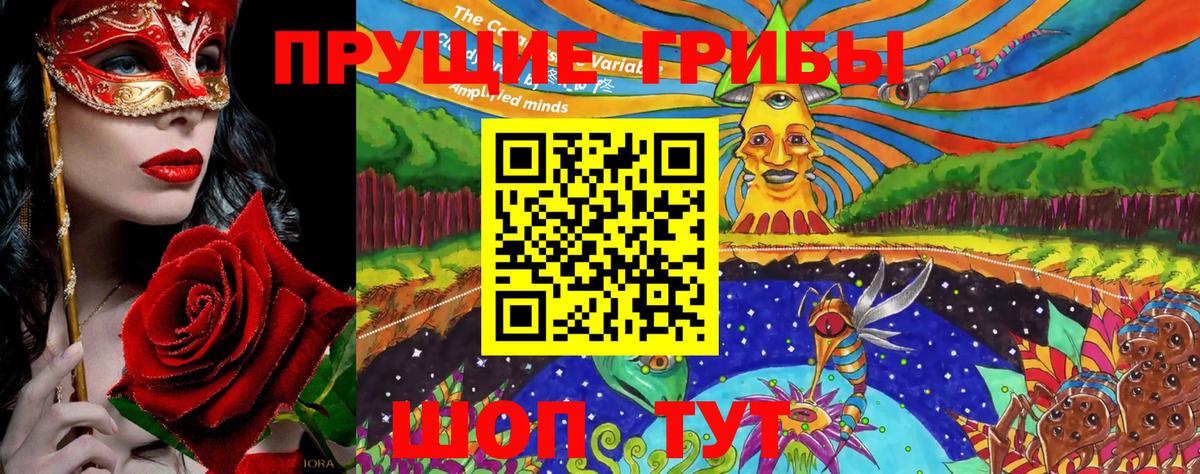 Шали  Галлюциногенные грибы GOLDEN TEACHER  хочу наркоту  Псилоцибиновые грибы ЛСД  Вход с VPN 